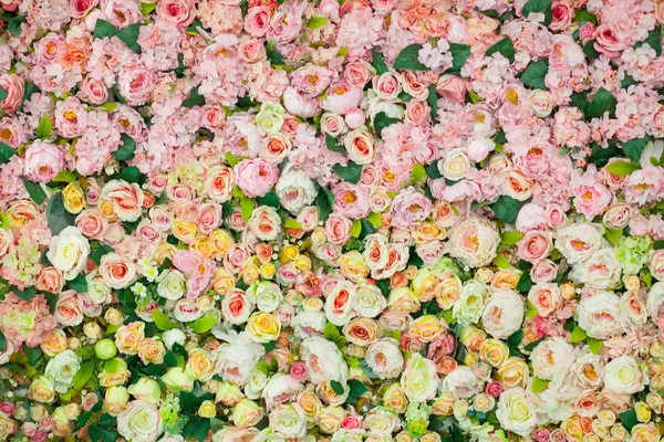 Color suave Rosas Fondo — Foto de Stock