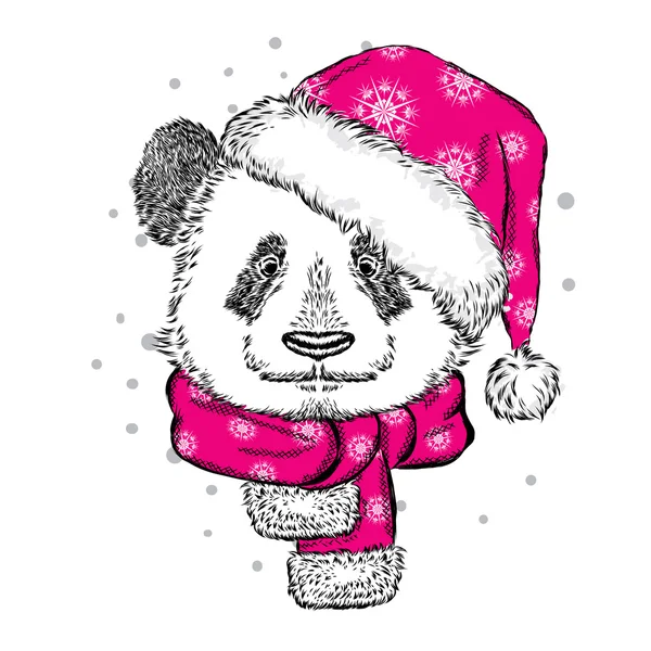 Panda Noel şapkası ve atkısı. Tebrik kartı, poster ya da kıyafet baskısı için vektör illüstrasyon. Noel ve Yeni Yıl. Kış. — Stok Vektör