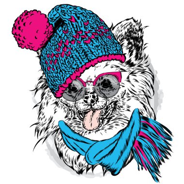 Şirin köpek yavrusu bir şapka ve atkı takmış. Komik köpek. Bir kartı veya poster için vektör çizim.