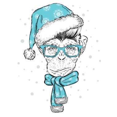 Komik maymun gözlük, şapka ve atkı. Vektör çizim. Atkı, şapka ve gözlük. Kartpostal veya poster. Kıyafetlere yazdırın. Yeni yıl ve Noel.