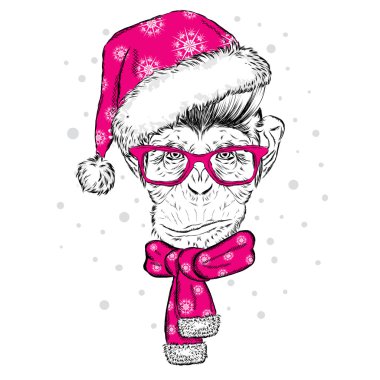 Komik maymun gözlük, şapka ve atkı. Vektör çizim. Atkı, şapka ve gözlük. Kartpostal veya poster. Kıyafetlere yazdırın. Yeni yıl ve Noel.