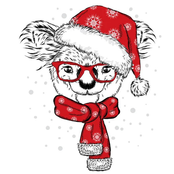 Mignon koala avec lunettes, chapeau et écharpe. Illustration vectorielle. Écharpe, chapeau et lunettes. Carte postale ou affiche. Impression sur les vêtements. Nouvel An et Noël. Ours . — Image vectorielle