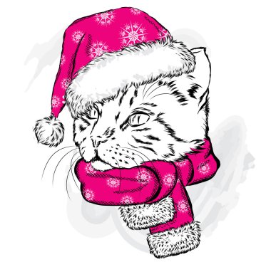 Komik kedi bir Noel şapka ve atkı. Bir kartı veya poster, elbiselere yazdırma için vektör çizim. Yeni yıl ve Noel.