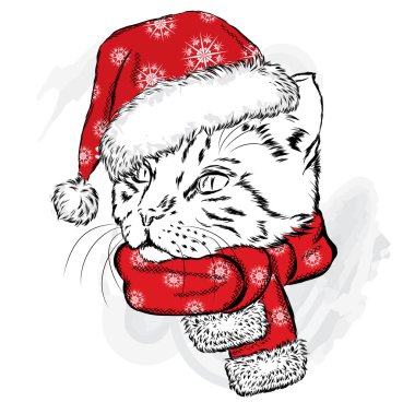 Komik kedi bir Noel şapka ve atkı. Bir kartı veya poster, elbiselere yazdırma için vektör çizim. Yeni yıl ve Noel.