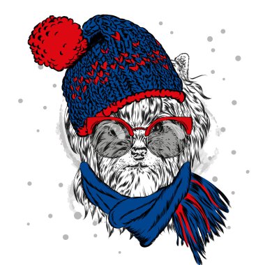 Şirin köpek yavrusu bir şapka ve güneş gözlüğü takıyor. Vektör çizim için tebrik kartı, poster ya da baskı dökmeyin. Safkan köpek. Yorkshire korkunç. Kış, Noel ve yeni yıl.