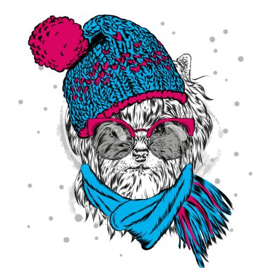 Şirin köpek yavrusu bir şapka ve güneş gözlüğü takıyor. Vektör çizim için tebrik kartı, poster ya da baskı dökmeyin. Safkan köpek. Yorkshire korkunç. Kış, Noel ve yeni yıl.