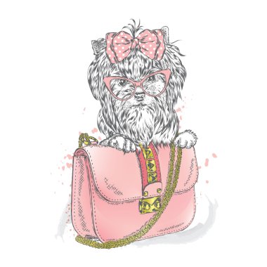 Bir güzel köpek ve güzel çanta. Debriyaj. Yorkshire korkunç. Vektör çizim için tebrik kartı, poster ya da baskı dökmeyin. Moda ve stil. Vintage.