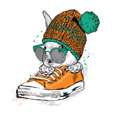 Sevimli tavşan ile gözlük ve şapka ile bir bubo. Spor ayakkabı içinde oturan yabani tavşan. Vektör çizim için tebrik kartı, poster ya da baskı dökmeyin. Moda ve stil.
