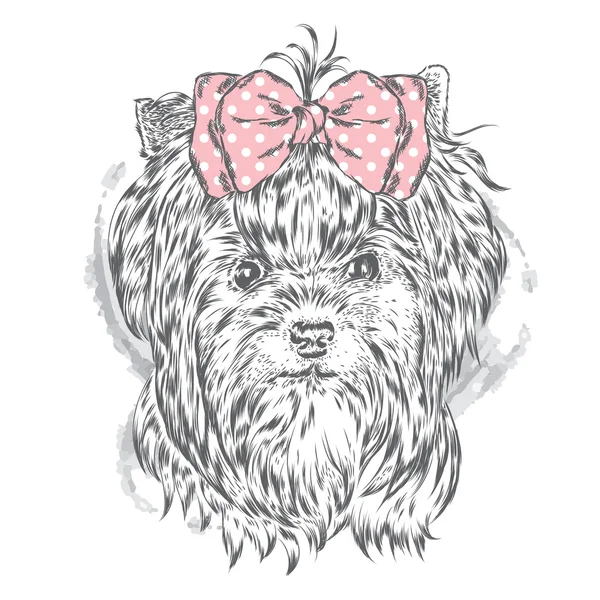 Lindo Yorkshire terrier con arco. Ilustración vectorial para una tarjeta o póster. Impresión en la ropa. Hermoso perro . — Archivo Imágenes Vectoriales