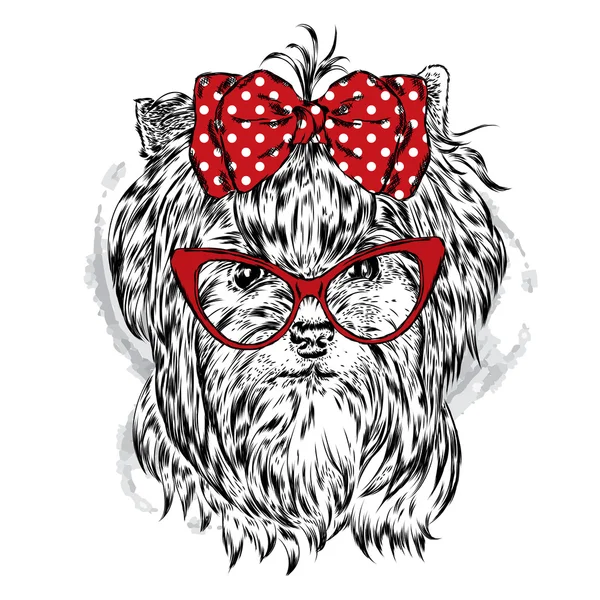 Słodkie rasy Yorkshire terrier z kokardą i okulary. Ilustracja wektorowa karty lub plakat. Drukowanie na ubraniach. Piękny pies. — Wektor stockowy