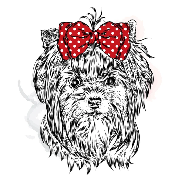 Lindo Yorkshire terrier con arco. Ilustración vectorial para una tarjeta o póster. Impresión en la ropa. Hermoso perro . — Vector de stock
