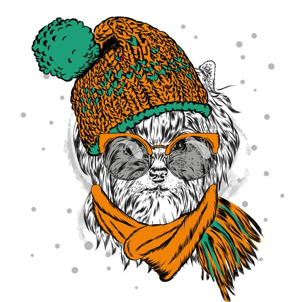 Şirin köpek yavrusu bir şapka ve güneş gözlüğü takıyor. Vektör çizim için tebrik kartı, poster ya da baskı dökmeyin. Safkan köpek. Yorkshire korkunç. Kış, Noel ve yeni yıl. — Stok Vektör