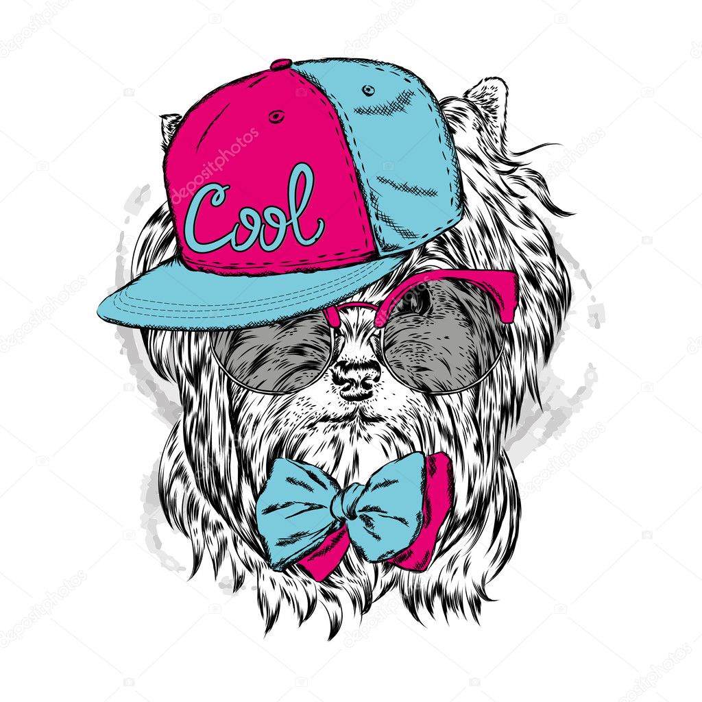 Mignon Petit Chien Portant Une Casquette Et Des Lunettes De