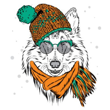 Şapka ve güneş gözlüğü takan sevimli köpek. Tebrik kartı, poster veya giysilere baskı için vektör çizimi. Soy köpeği. Collie. Kış, Noel ve Yeni Yıl.