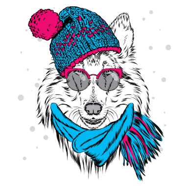 Şapka ve güneş gözlüğü takan sevimli köpek. Tebrik kartı, poster veya giysilere baskı için vektör çizimi. Soy köpeği. Collie. Kış, Noel ve Yeni Yıl.