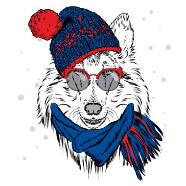 Şapka ve güneş gözlüğü takan sevimli köpek. Tebrik kartı, poster veya giysilere baskı için vektör çizimi. Soy köpeği. Collie. Kış, Noel ve Yeni Yıl.