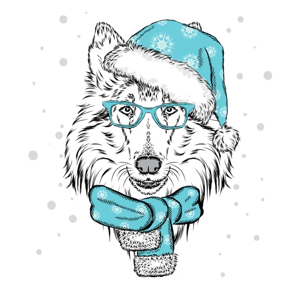 Sevimli köpek Noel şapka ve güneş gözlüğü. Vektör çizim için tebrik kartı, poster ya da baskı dökmeyin. Safkan köpek. Kömür ocağı. Kış, Noel ve yeni yıl. — Stok Vektör