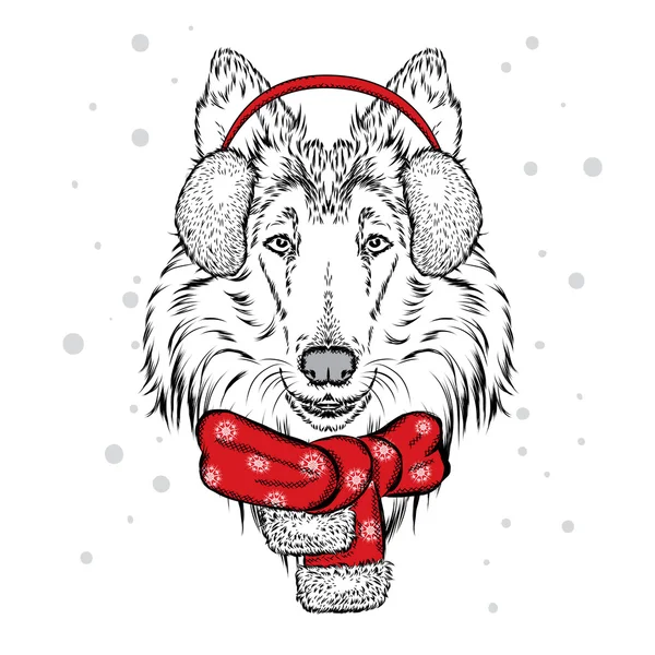 방한 스카프에 귀여운 강아지입니다. 벡터 그림 카드 또는 포스터에 대 한입니다. 옷에 인쇄. 아름 다운 개입니다. 새 해 그리고 크리스마스입니다. 겨울입니다. 따뜻한 옷입니다. 콜 리. — 스톡 벡터