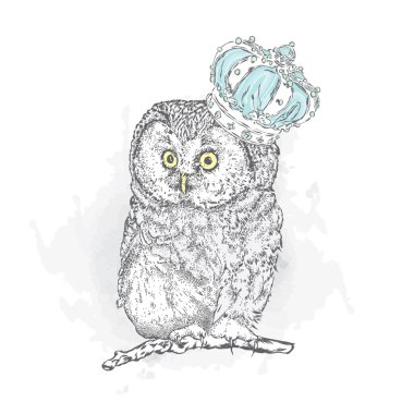 Bir taç giyen komik baykuş. Vektör çizim.