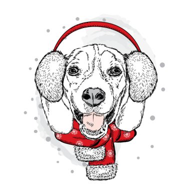 Komik köpek kış eşarp ve kulaklık. Vektör çizim. Noel ve yeni yıl.