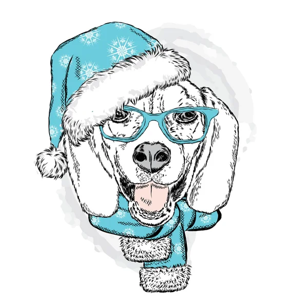 Komik köpek Noel şapkalı. Vektör çizim. Noel ve yeni yıl. — Stok Vektör