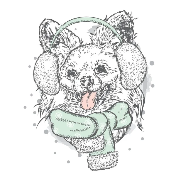 Perro divertido en bufanda de invierno y auriculares. Ilustración vectorial. Navidad y Año Nuevo . — Vector de stock