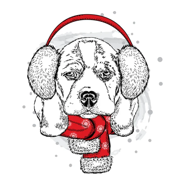 크리스마스 모자와 스카프에 귀여운 강아지입니다. 벡터 일러스트입니다. 비글입니다. 새 해와 크리스마스. — 스톡 벡터