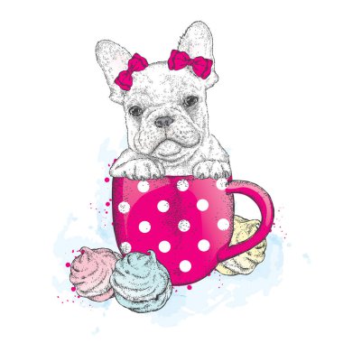 Fransız buldozer bir fincan. Kupası ve marshmallow. Vektör çizim için tebrik kartı, poster ya da baskı dökmeyin. Şirin köpek. Safkan köpek.