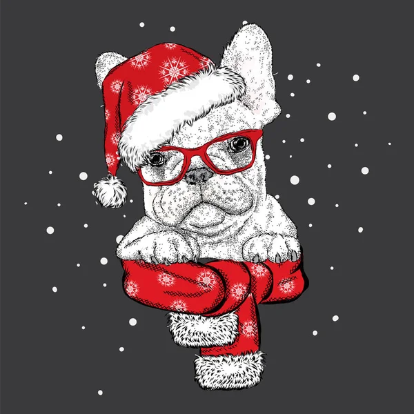 Fransız buldozer Noel şapka ve güneş gözlüğü. Bir kartı veya poster için vektör çizim. Kıyafetlere yazdırın. Şirin köpek. Safkan köpek. Kış tatili. Yeni yıl ve Noel. — Stok Vektör