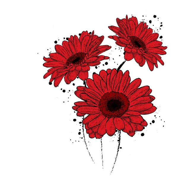 Hermosa Gerbera. Ilustración vectorial para una tarjeta o póster, impresión en la ropa. Flores . — Vector de stock