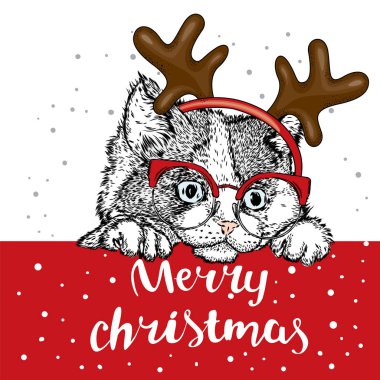 Noel de kedi kostümleri. Kedi boynuzlu bir eşarp ve güneş gözlüğü. Bir kartı veya poster için vektör çizim. Noel ve yeni yıl.