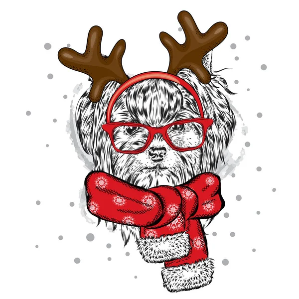 Köpek Noel kostümleri. York boynuzlu bir eşarp ve güneş gözlüğü. Bir kartı veya poster için vektör çizim. Noel ve yeni yıl. Köpek. — Stok Vektör