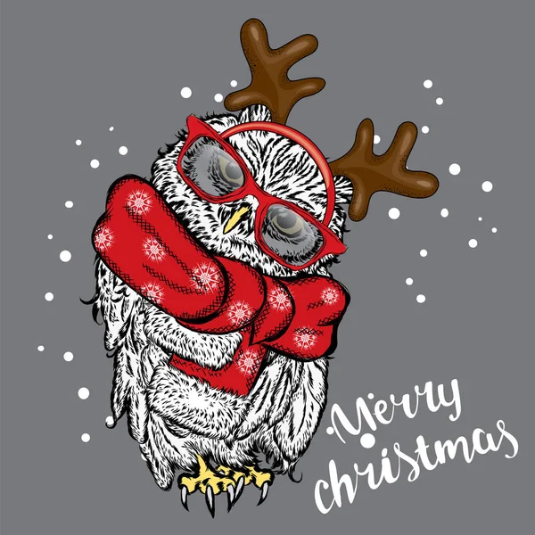 Eule in Weihnachtskostümen. Eule mit Hörnern, Schal und Sonnenbrille. Vektorillustration für eine Karte oder ein Poster. Weihnachten und Neujahr. — Stockvektor