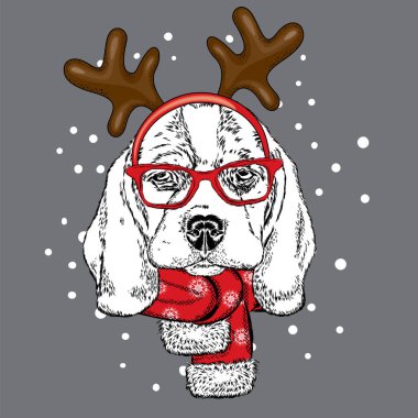 Komik köpek gözlük takan ve boynuzları. Yavru bir geyik kostüm. Bir kartı veya poster, elbiselere yazdırma için vektör çizim. Yeni yıl ve Noel.