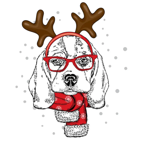 Komik köpek gözlük takan ve boynuzları. Yavru bir geyik kostüm. Bir kartı veya poster, elbiselere yazdırma için vektör çizim. Yeni yıl ve Noel. — Stok Vektör