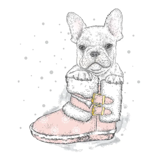 Bulldog francés en una bota de Año Nuevo. Ilustración vectorial para una tarjeta o póster. Lindo cachorro. Pedigrí perro . — Archivo Imágenes Vectoriales