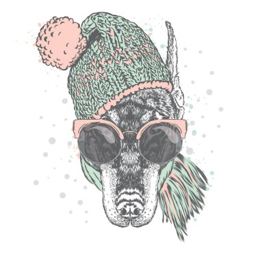 Güzel Doberman bir şapka, güneş gözlüğü ve bir eşarp. Vektör çizim için tebrik kartı, poster ya da baskı dökmeyin. Güzel köpek. Hippi. Moda ve stil. Evde beslenen hayvan kış giysileri.