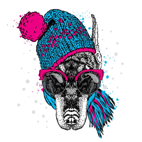 Beautiful Doberman in a hat, sunglasses and a scarf. Vector illustration for greeting card, poster, or print on clothes. Beautiful dog. Hipster. Fashion & Style. Pet winter clothes. — Stock Vector