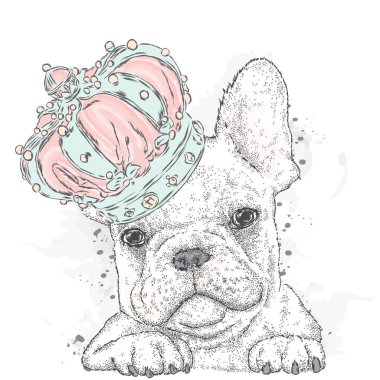 Cute puppy wearing a crown. French Bulldog. Vector illustration. vector