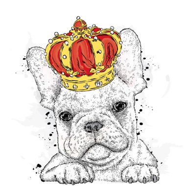 Cute puppy wearing a crown. French Bulldog. Vector illustration. vector
