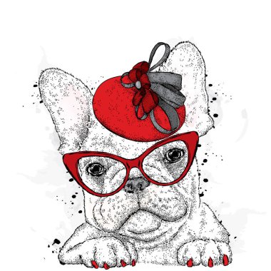 Şirin köpek yavrusu bir şapka ve güneş gözlüğü takıyor. Fransız buldozer. Vektör çizim.