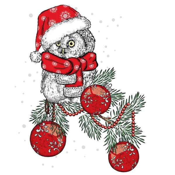 Gyönyörű bagoly sálat visel. Madár egy ág karácsonyi díszek. Vektoros illusztráció. Új év, és a karácsony. — Stock Vector