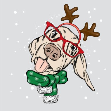 Yeni yıl kostüm köpek. Köpek bir geyik boynuzları. Bir kartı veya poster için vektör çizim. Yeni yıl ve Noel.