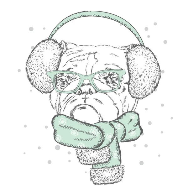 Bulldog in cuffie invernali. Illustrazione vettoriale per una carta o un poster. Stampa su vestiti. Bel cagnolino. Cane dell'alveare. Vacanze invernali. Capodanno e Natale . — Vettoriale Stock