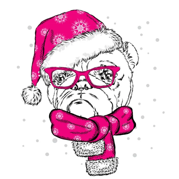 Bulldog Noel şapka ve güneş gözlüğü. Bir kartı veya poster için vektör çizim. Kıyafetlere yazdırın. Şirin köpek. Safkan köpek. Kış tatili. Yeni yıl ve Noel. — Stok Vektör