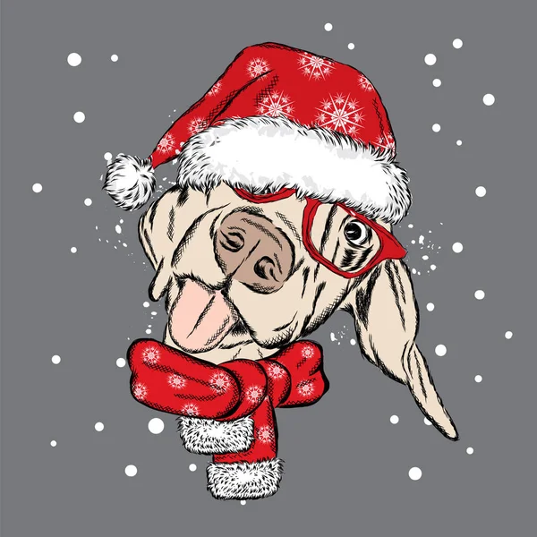 Köpek Noel şapka ve güneş gözlüğü. Bir kartı veya poster için vektör çizim. Kıyafetlere yazdırın. Şirin köpek. Safkan köpek. Kış tatili. Yeni yıl ve Noel.