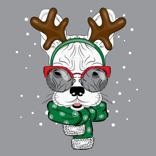 Fransız buldozer yılbaşı kostüm. Köpek bir geyik boynuzları. Bir kartı veya poster için vektör çizim. Yeni yıl ve Noel. — Stok Vektör
