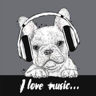 Şirin köpek yavrusu kulaklık takıyor. Bir kartı veya poster için vektör çizim. Kıyafetlere yazdırın. Fransız buldozer. Safkan köpek.