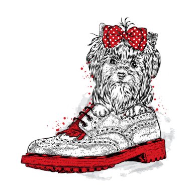 Sevimli köpek çizme içinde oturuyor. Yorkshire korkunç bir yay ile. Vektör çizim.