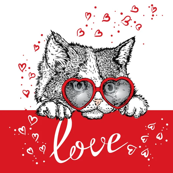 귀여운 고양이 유리 심장. 벡터 일러스트입니다. 발렌타인의 날. — 스톡 벡터